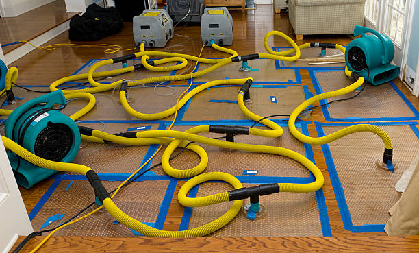 Professional Crawl Space Water Removal technician working in Merchantville, NJ